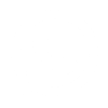 WhatsApp ICON